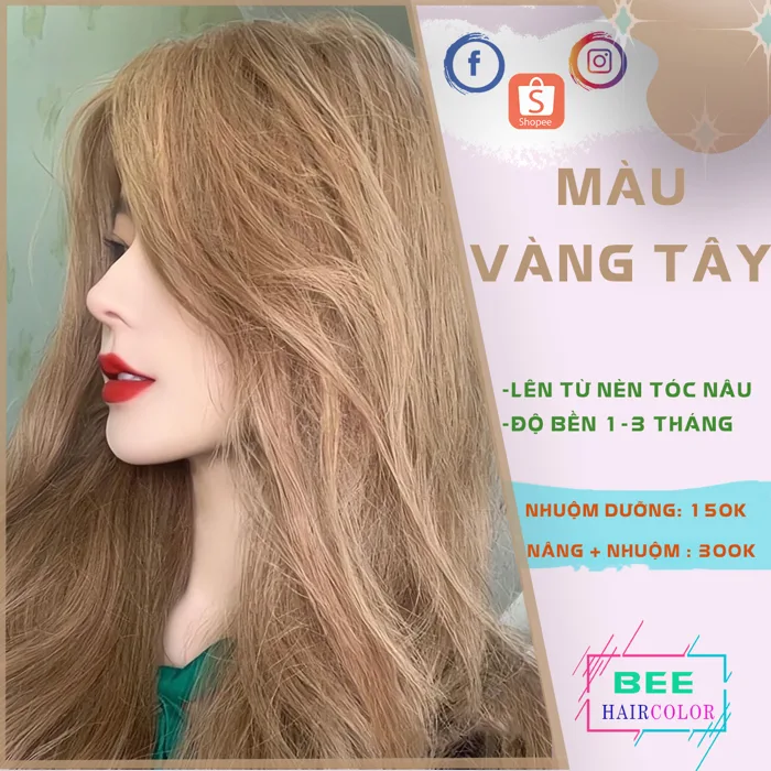 Thuốc nhuộm tóc màu vàng sữa [ tặng kèm trợ dưỡng + bao tay nhuộm ] |  Lazada Việt Nam