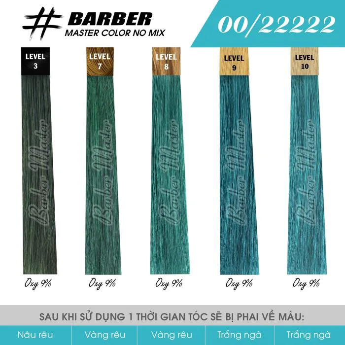 Thuốc nhuộm tóc màu Xanh Ngọc Barber Master Color không cần mix, lên chuẩn  màu | Thankinhtoc.vn