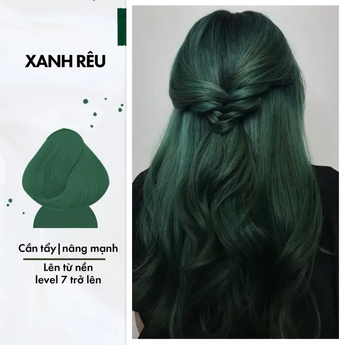 mau-nhuom-xanh-reu-1