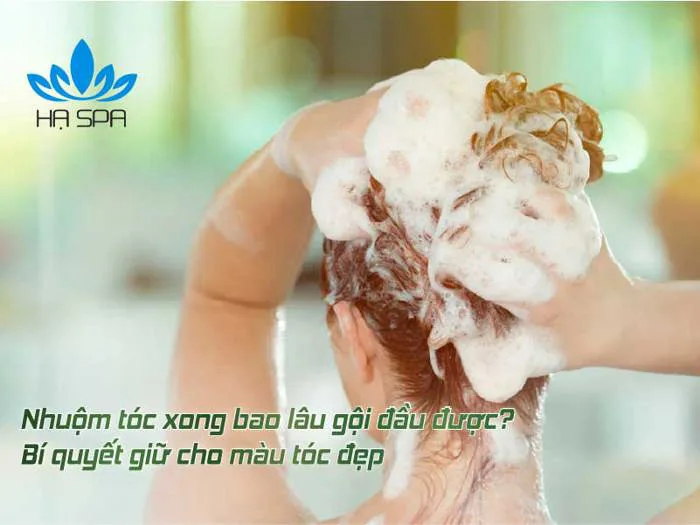 Nhuộm tóc bao lâu thì gội đầu? 9 Kinh nghiệm giữ màu tóc đẹp Nhuộm tóc bao lâu thì gội đầu? 9 Kinh nghiệm giữ màu tóc đẹp