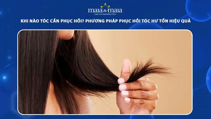 Khi nào tóc cần phục hồi? Cách phục hồi tóc hư tổn hiệu quả