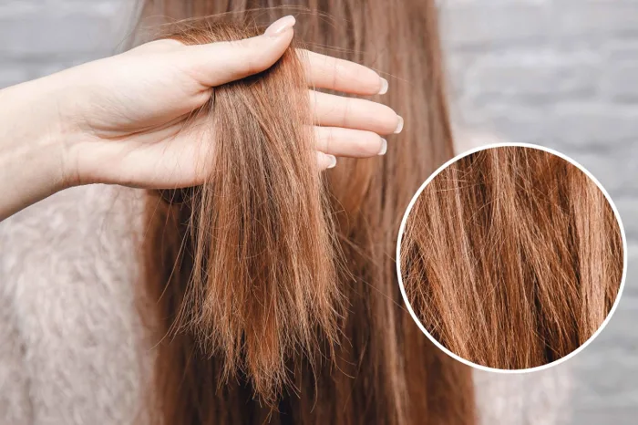 Mách bạn 3 cách phục hồi tóc hư tổn cho từng vấn đề tóc - Nhà thuốc FPT  Long Châu