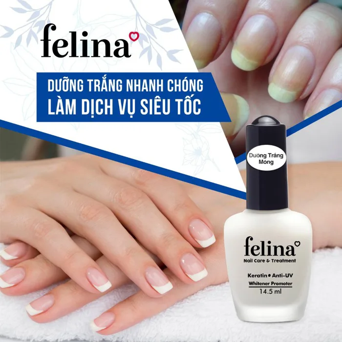 Sơn Dưỡng Felina Làm Nền Móng Cao Cấp CD001 14,5ml | Hasaki.vn