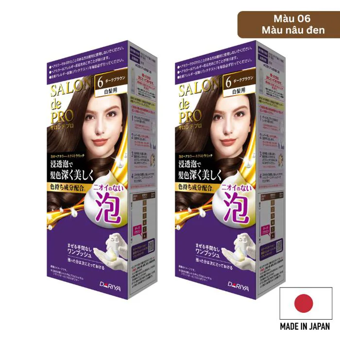 REC – Hiệp Hưng Long - Salon de pro – Combo 2 hộp xịt nhuộm tóc dạng bọt  màu 06 (100g/hộp)