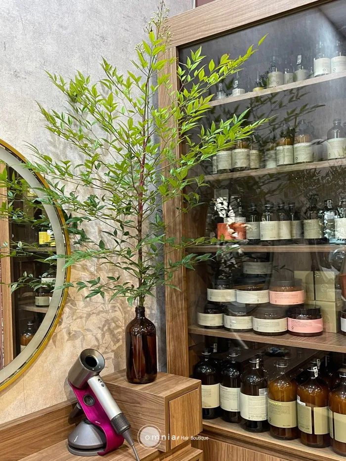 Tại sao mẹ nên uốn tóc cho bé tại salon organic? - Omnia Hair Boutique -  Salon tóc organic tại Hà Nội