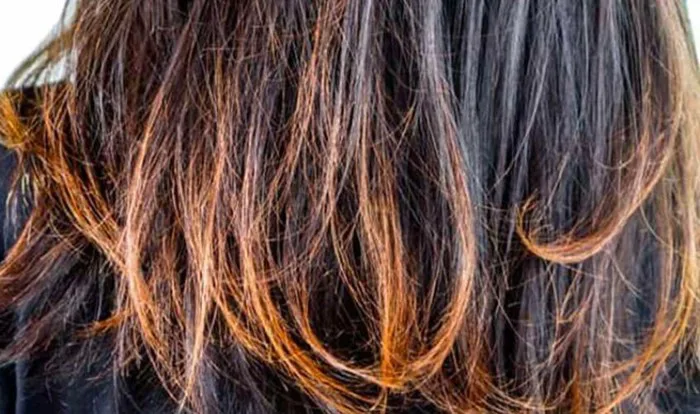 Đừng ngó lơ 4 dấu hiệu tóc cháy nắng: Cách 