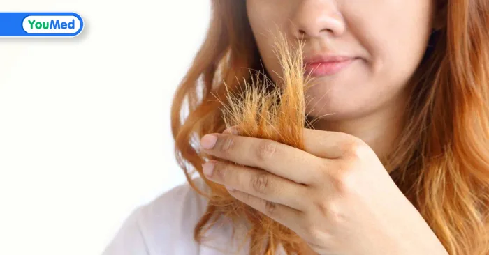 6 cách phục hồi và chăm sóc tóc cháy nắng