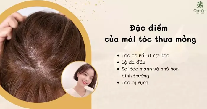 99+ kiểu tóc dành cho tóc mỏng giúp tóc bồng bềnh cuốn hút 99+ kiểu tóc dành cho tóc mỏng giúp tóc bồng bềnh cuốn hút