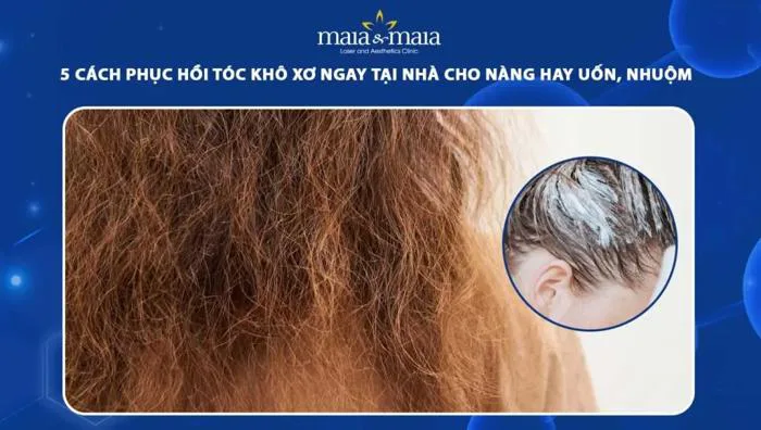 5 cách phục hồi tóc khô xơ tại nhà cho nàng hay uốn, nhuộm 5 cách phục hồi tóc khô xơ tại nhà cho nàng hay uốn, nhuộm