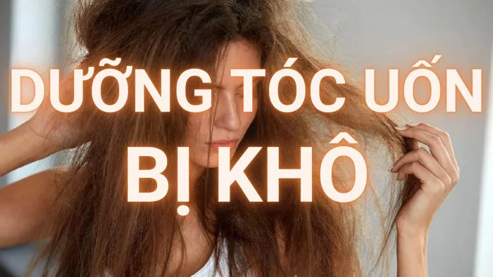 Cách Dưỡng Tóc Uốn Bị Khô Và Cách Chăm Sóc Tóc Sau Khi Uốn Mềm Mượt Vào Nếp Tự Nhiên TạiNhà| Mộc Tâm Cách Dưỡng Tóc Uốn Bị Khô Và Cách Chăm Sóc Tóc Sau Khi Uốn Mềm Mượt Vào Nếp Tự Nhiên TạiNhà| Mộc Tâm