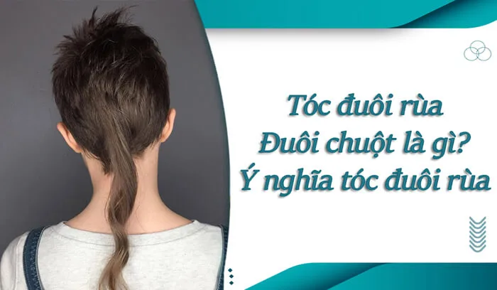 Tóc đuôi rùa có ý nghĩa gì? Tại sao có tóc đuôi rùa, đuôi chuột
