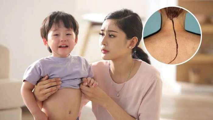 Sự thật về việc bé có tóc đuôi chuột lớn lên sẽ bướng bỉnh