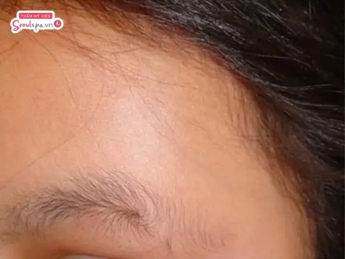 Ý nghĩa tướng số người có lông mày xoáy ở đuôi tốt hay xấu?