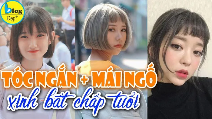 10 kiểu tóc ngắn mái ngố: Kiểu tóc đẹp không bao giờ lỗi thời