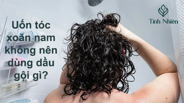 Uốn tóc xoăn nam không nên dùng dầu gội gì? Uốn tóc xoăn nam không nên dùng dầu gội gì?
