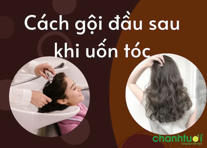 5 Cách gội đầu sau khi uốn tóc - Vào nếp, đẹp chuẩn salon tại nhà 5 Cách gội đầu sau khi uốn tóc - Vào nếp, đẹp chuẩn salon tại nhà